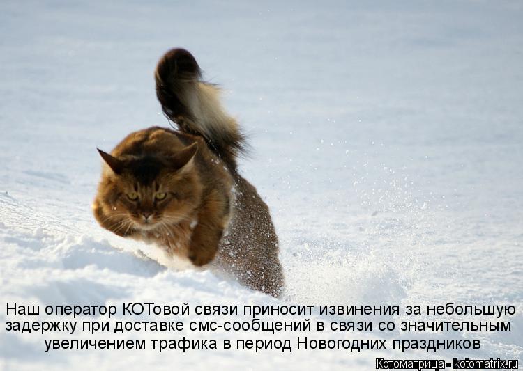 Котоматрица: Наш оператор КОТовой связи приносит извинения за небольшую задержку при доставке смс-сообщений в связи со значительным увеличением трафи