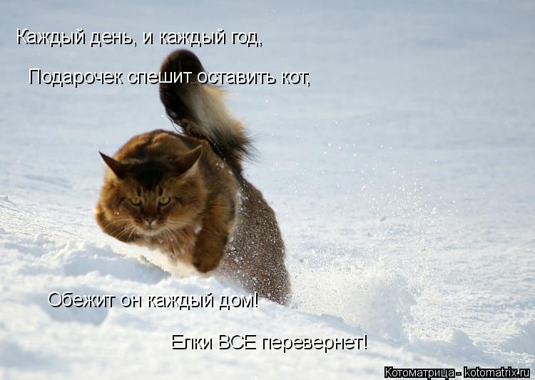 Каждый день, и каждый год, Подарочек спешит оставить кот, Обежит он каждый дом! Елки ВСЕ перевернет!... Котоматрица: Каждый день, и каждый год, Подарочек спешит оставить кот, Обежит он каждый дом! Елки ВСЕ перевернет!