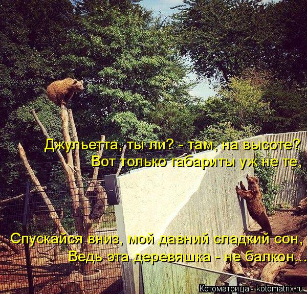 Джульетта, ты ли? - там, на высоте? Вот только габариты уж не те, Спускайся вниз, мой давний сладкий ... Котоматрица: Джульетта, ты ли? - там, на высоте? Вот только габариты уж не те, Спускайся вниз, мой давний сладкий сон, Ведь эта деревяшка - не балкон...