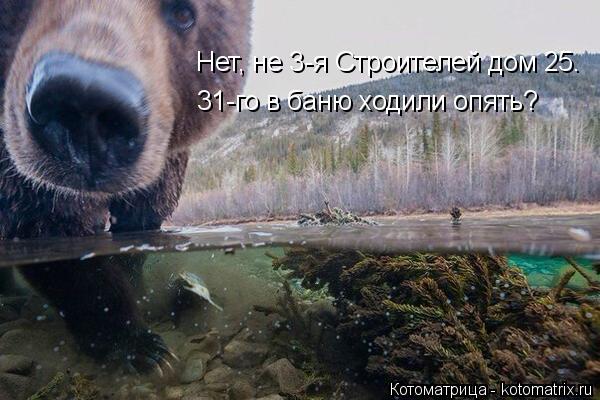 Нет, не 3-я Строителей дом 25. 31-го в баню ходили опять?... Котоматрица: Нет, не 3-я Строителей дом 25. 31-го в баню ходили опять?