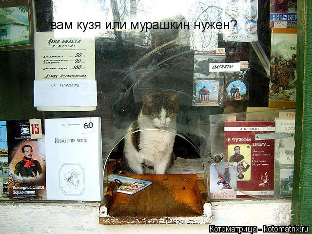 вам кузя или мурашкин нужен?... Котоматрица: вам кузя или мурашкин нужен?