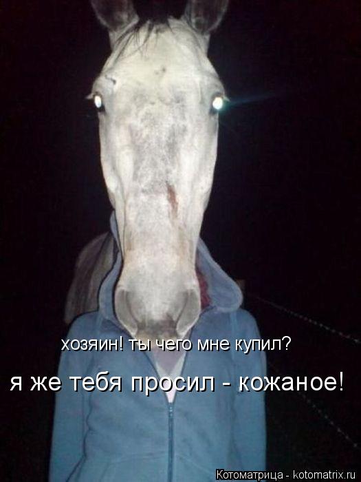 хозяин! ты чего мне купил? я же тебя просил - кожаное!... Котоматрица: хозяин! ты чего мне купил? я же тебя просил - кожаное!