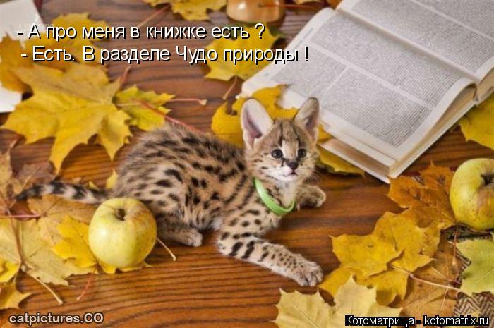- А про меня в книжке есть ? - Есть. В разделе Чудо природы !... Котоматрица: - А про меня в книжке есть ? - Есть. В разделе Чудо природы !