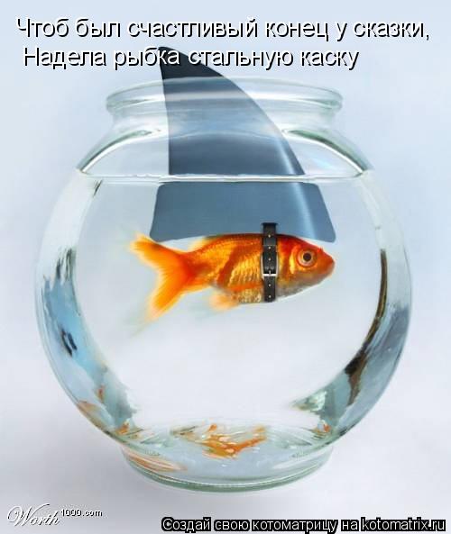 Чтоб был счастливый конец у сказки, Надела рыбка стальную каску... Котоматрица: Чтоб был счастливый конец у сказки, Надела рыбка стальную каску