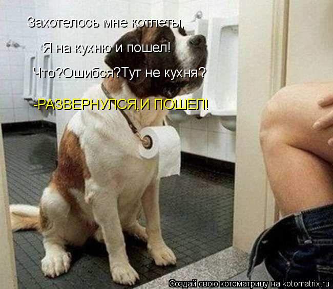 Захотелось мне котлеты, Я на кухню и пошел! Что?Ошибся?Тут не кухня? -РАЗВЕРНУЛСЯ,И ПОШЕЛ!... Котоматрица: Захотелось мне котлеты, Я на кухню и пошел! Что?Ошибся?Тут не кухня? -РАЗВЕРНУЛСЯ,И ПОШЕЛ!