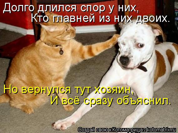 Долго длился спор у них, Кто главней из них двоих. Но вернулся тут хозяин, И всё сразу объяснил.... Котоматрица: Долго длился спор у них, Кто главней из них двоих. Но вернулся тут хозяин, И всё сразу объяснил.