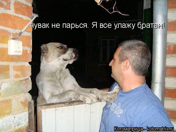 чувак не парься. Я все улажу братан!... Котоматрица: чувак не парься. Я все улажу братан!
