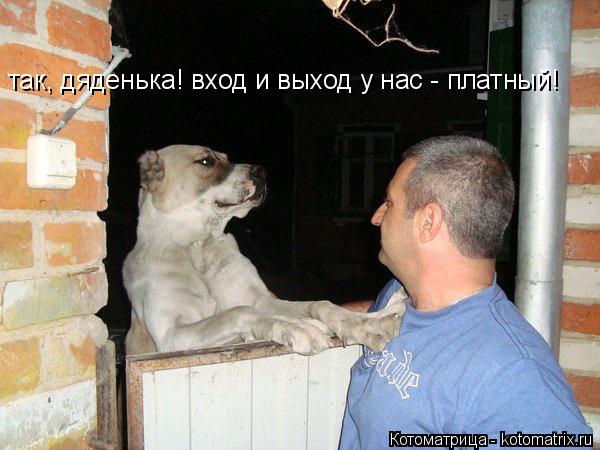 так, дяденька! вход и выход у нас - платный!... Котоматрица: так, дяденька! вход и выход у нас - платный!