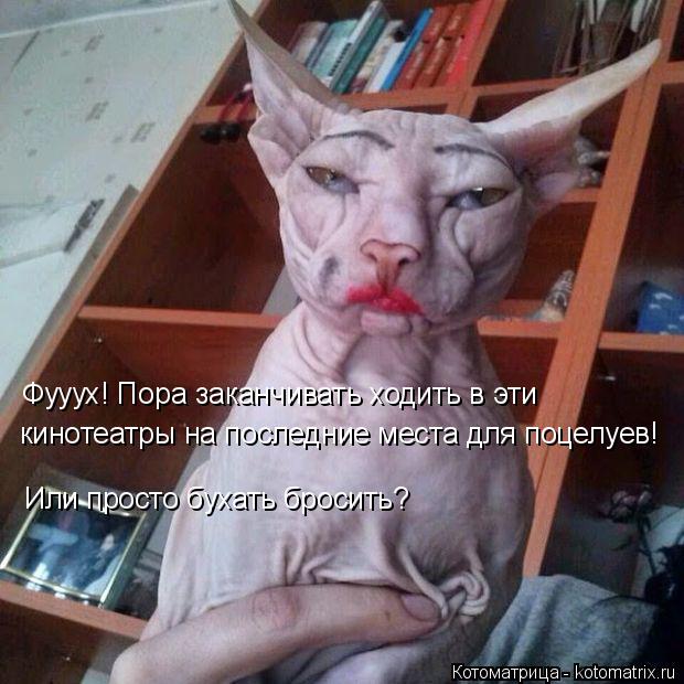 Фууух! Пора заканчивать ходить в эти кинотеатры на места для поцелуев! Фууух! Пора заканчивать ходить... Котоматрица: Фууух! Пора заканчивать ходить в эти кинотеатры на места для поцелуев! Фууух! Пора заканчивать ходить в эти кинотеатры на последние места д