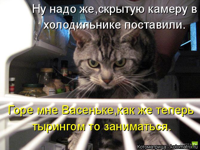 Котоматрица: Ну надо же,скрытую камеру в  холодильнике поставили. Горе мне Васеньке,как же теперь тырингом то заниматься.