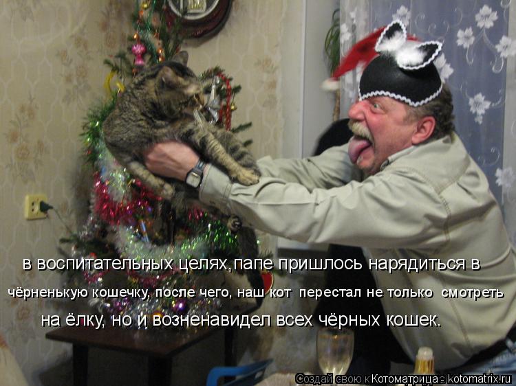 в воспитательных целях,папе пришлось нарядиться в чёрненькую кошечку, после чего, наш кот перестал н... Котоматрица: в воспитательных целях,папе пришлось нарядиться в чёрненькую кошечку, после чего, наш кот перестал не только смотреть на ёлку, но и вознен
