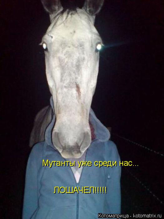 Мутанты уже среди нас... ЛОШАЧЕЛ!!!!!... Котоматрица: Мутанты уже среди нас... ЛОШАЧЕЛ!!!!!