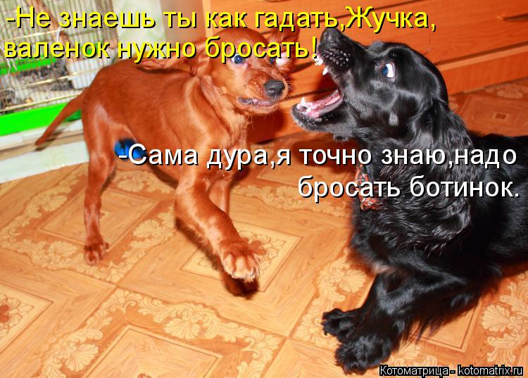 Котоматрица: -Не знаешь ты как гадать,Жучка, валенок нужно бросать! -Сама дура,я точно знаю,надо бросать ботинок.