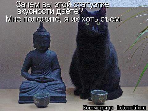 Зачем вы этой статуэтке вкусности даёте? Мне положите, я их хоть съем!... Котоматрица: Зачем вы этой статуэтке вкусности даёте? Мне положите, я их хоть съем!