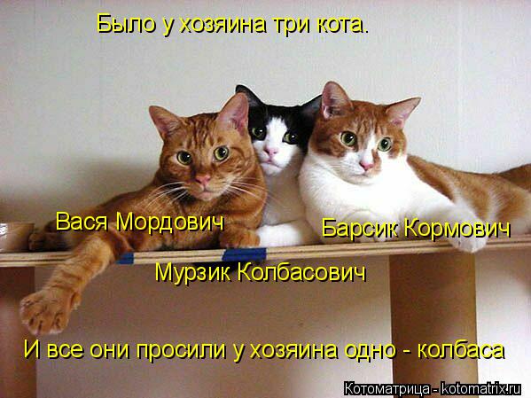 Было у хозяина три кота. Вася Мордович Мурзик Колбасович Барсик Кормович И все они просили у хозяина ... Котоматрица: Было у хозяина три кота. Вася Мордович Мурзик Колбасович Барсик Кормович И все они просили у хозяина одно - колбаса