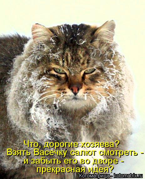 Что, дорогие хозяева? Взять Васечку салют смотреть - и забыть его во дворе - прекрасная идея?... Котоматрица: Что, дорогие хозяева? Взять Васечку салют смотреть - и забыть его во дворе - прекрасная идея?