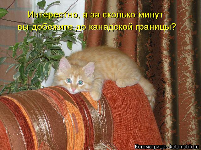 Интерестно, а за сколько минут вы добежите до канадской границы?... Котоматрица: Интерестно, а за сколько минут вы добежите до канадской границы?