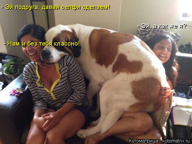- Эй подруга, давай селфи сделаем! - Эй, а как же я? - Нам и без тебя классно!... Котоматрица: - Эй подруга, давай селфи сделаем! - Эй, а как же я? - Нам и без тебя классно!
