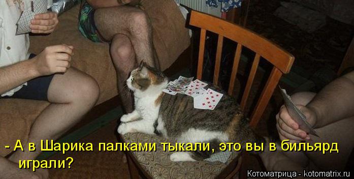- А в Шарика палками тыкали, это вы в бильярд играли?... Котоматрица: - А в Шарика палками тыкали, это вы в бильярд играли?