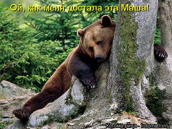 - Ой, как меня достала эта Маша!... Котоматрица: - Ой, как меня достала эта Маша!