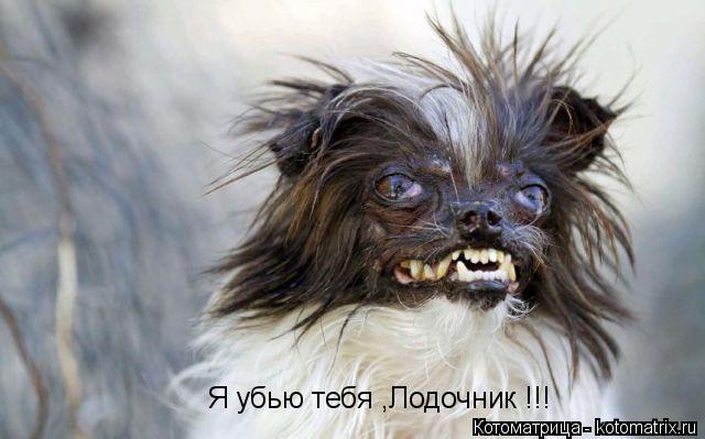 Я убью тебя ,Лодочник !!!... Котоматрица: Я убью тебя ,Лодочник !!!