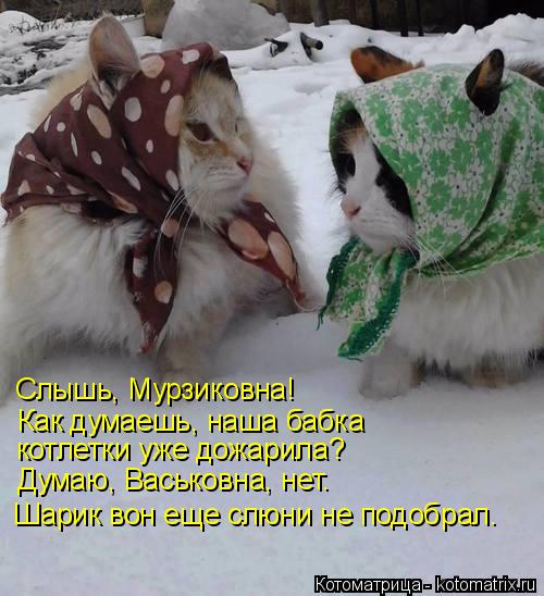 Слышь, Мурзиковна! Как думаешь, наша бабка котлетки уже дожарила? Думаю, Васьковна, нет. Шарик вон ещ... Котоматрица: Слышь, Мурзиковна! Как думаешь, наша бабка котлетки уже дожарила? Думаю, Васьковна, нет. Шарик вон еще слюни не подобрал.