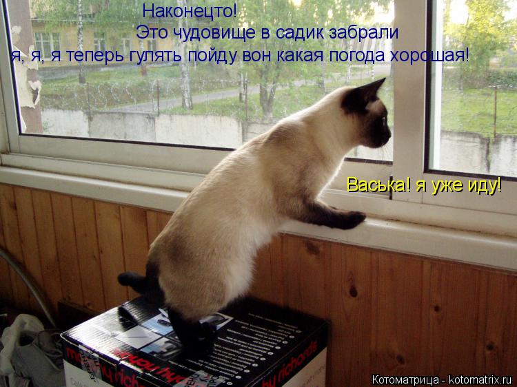 Наконецто! Это чудовище в садик забрали я, я, я теперь гулять пойду вон какая погода хорошая! Васька!... Котоматрица: Наконецто! Это чудовище в садик забрали я, я, я теперь гулять пойду вон какая погода хорошая! Васька! я уже иду!