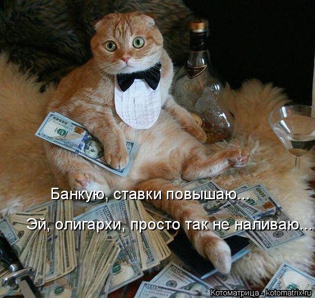 Банкую, ставки повышаю... Эй, олигархи, просто так не наливаю...... Котоматрица: Банкую, ставки повышаю... Эй, олигархи, просто так не наливаю...