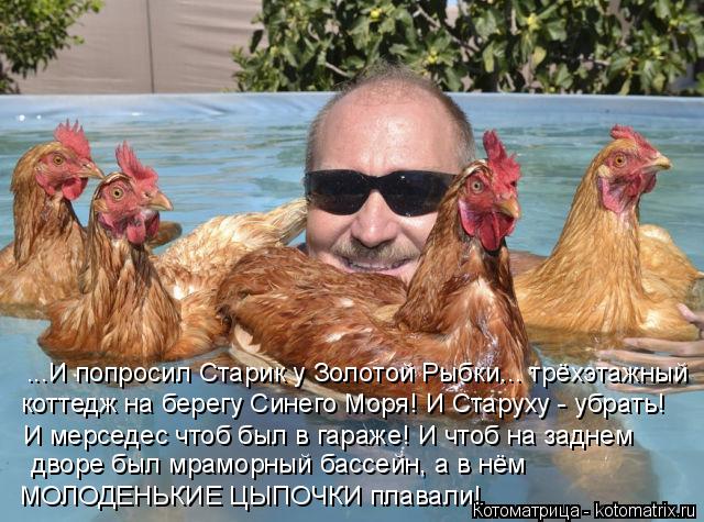 ...И попросил Старик у Золотой Рыбки... трёхэтажный коттедж на берегу Синего Моря! И Старуху - убрать... Котоматрица: ...И попросил Старик у Золотой Рыбки... трёхэтажный коттедж на берегу Синего Моря! И Старуху - убрать! И мерседес чтоб был в гараже! И чтоб на за