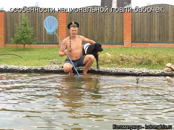 особенности национальной ловли бабочек.... Котоматрица: особенности национальной ловли бабочек.