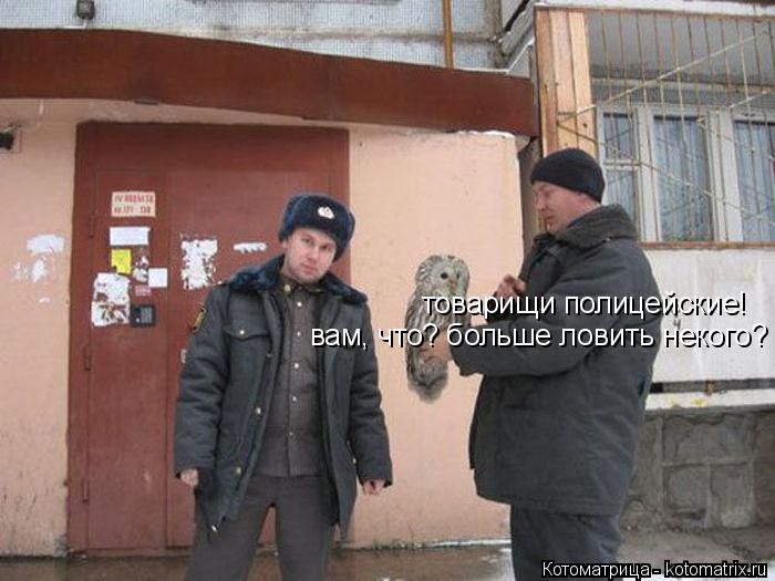 товарищи полицейские! вам, что? больше ловить некого?... Котоматрица: товарищи полицейские! вам, что? больше ловить некого?