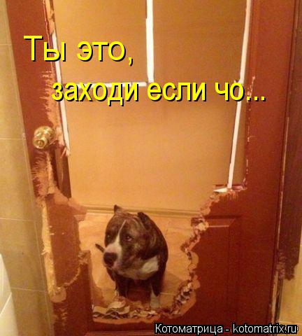 Ты это, заходи если чо...... Котоматрица: Ты это, заходи если чо...