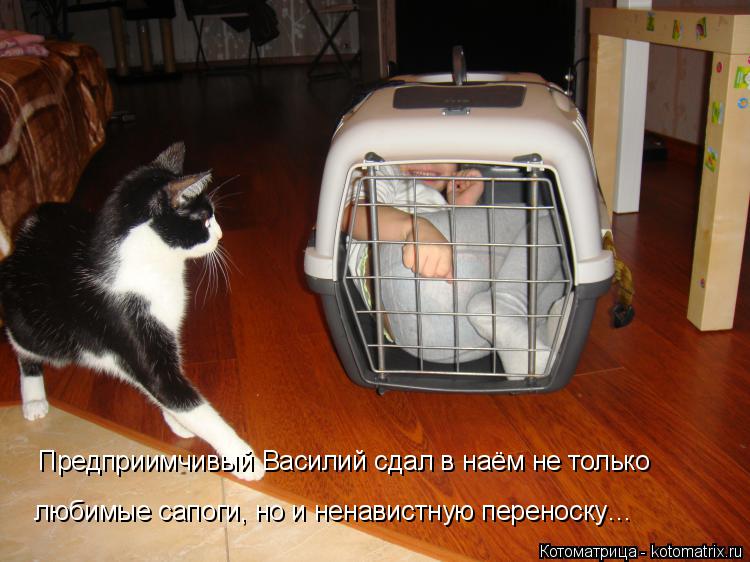 любимые сапоги, но и ненавистную переноску… Предприимчивый Василий сдал в наём не только... Котоматрица: любимые сапоги, но и ненавистную переноску… Предприимчивый Василий сдал в наём не только