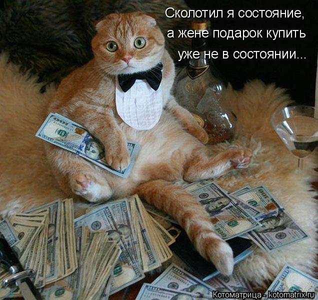 Сколотил я состояние, а жене подарок купить уже не в состоянии...... Котоматрица: Сколотил я состояние, а жене подарок купить уже не в состоянии...