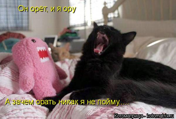Он орёт, и я ору А зачем орать никак я не пойму........ Котоматрица: Он орёт, и я ору А зачем орать никак я не пойму.....
