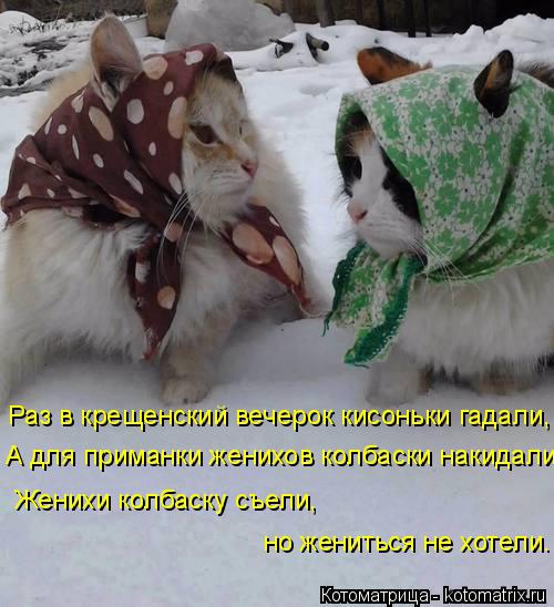 Раз в крещенский вечерок кисоньки гадали, А для приманки женихов колбаски накидали. Женихи колбаску с... Котоматрица: Раз в крещенский вечерок кисоньки гадали, А для приманки женихов колбаски накидали. Женихи колбаску съели, но жениться не хотели.
