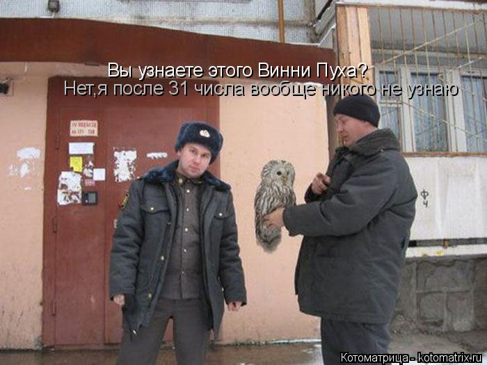 Вы узнаете этого Винни Пуха? Нет,я после 31 числа вообще никого не узнаю... Котоматрица: Вы узнаете этого Винни Пуха? Нет,я после 31 числа вообще никого не узнаю