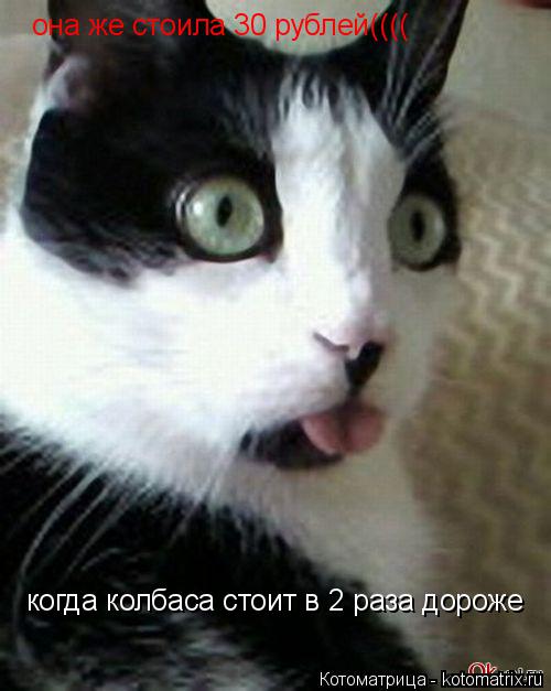 когда колбаса стоит в 2 раза дороже она же стоила 30 рублей(((( она же стоила 30 рублей((((... Котоматрица: когда колбаса стоит в 2 раза дороже она же стоила 30 рублей(((( она же стоила 30 рублей((((