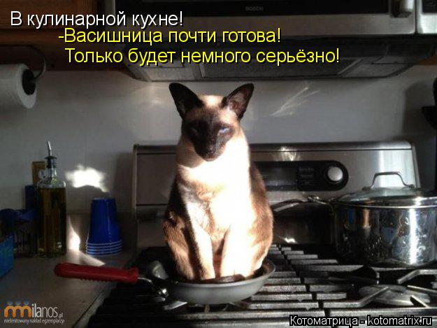 В кулинарной кухне! -Васишница почти готова! Только будет немного серьёзно!... Котоматрица: В кулинарной кухне! -Васишница почти готова! Только будет немного серьёзно!