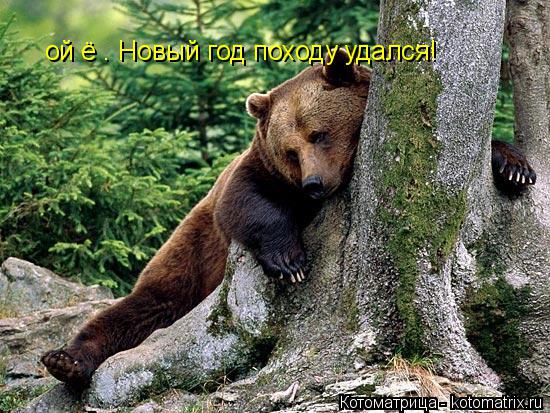 ой ё . Новый год походу удался!... Котоматрица: ой ё . Новый год походу удался!