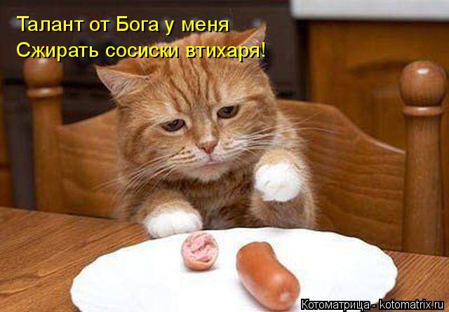 Сжирать сосиски втихаря! Талант от Бога у меня... Котоматрица: Сжирать сосиски втихаря! Талант от Бога у меня