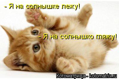 - Я на солнышке лежу! - Я на солнышко гляжу!... Котоматрица: - Я на солнышке лежу! - Я на солнышко гляжу!
