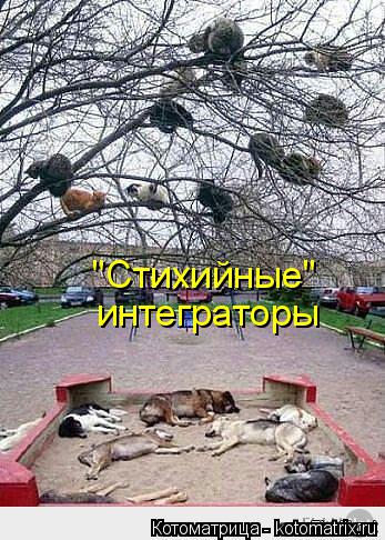 "Стихийные" интеграторы... Котоматрица: "Стихийные" интеграторы