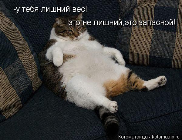 -у тебя лишний вес! - это не лишний,это запасной!... Котоматрица: -у тебя лишний вес! - это не лишний,это запасной!