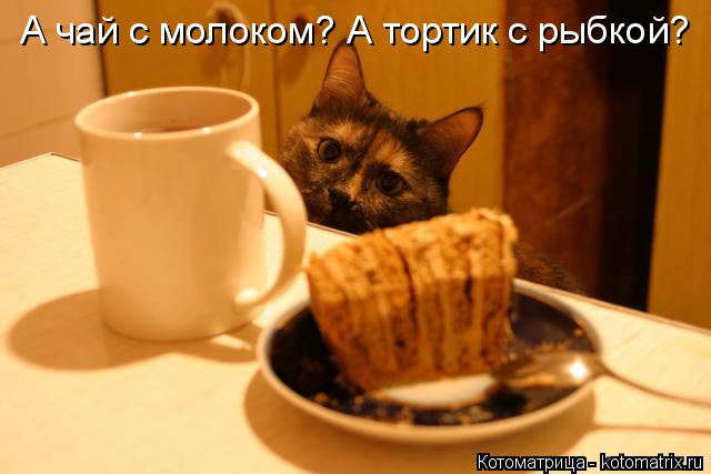 А чай с молоком? А тортик с рыбкой?... Котоматрица: А чай с молоком? А тортик с рыбкой?