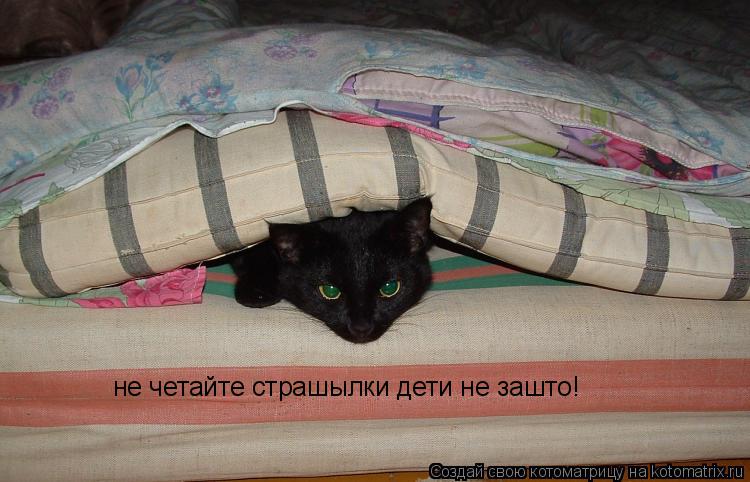 не четайте страшылки дети не зашто!... Котоматрица: не четайте страшылки дети не зашто!