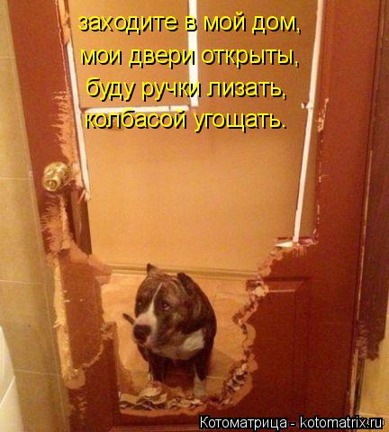 заходите в мой дом, мои двери открыты, буду ручки лизать, колбасой угощать.... Котоматрица: заходите в мой дом, мои двери открыты, буду ручки лизать, колбасой угощать.