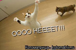 ОООО НЕЕЕЕТ!!!... Котоматрица: ОООО НЕЕЕЕТ!!!