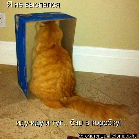 Я не выспался, иду-иду и тут... бац в коробку!... Котоматрица: Я не выспался, иду-иду и тут... бац в коробку!