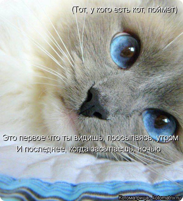 (Тот, у кого есть кот, поймёт) Это первое что ты видишь, просыпаясь, утром И последнее, когда засыпае... Котоматрица: (Тот, у кого есть кот, поймёт) Это первое что ты видишь, просыпаясь, утром И последнее, когда засыпаешь, ночью